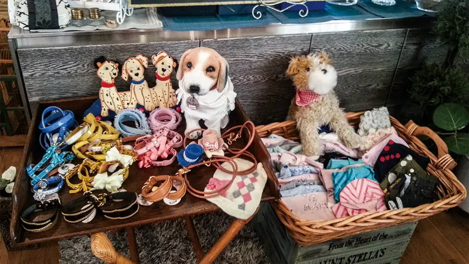 ワンちゃんアウトレットマーケット